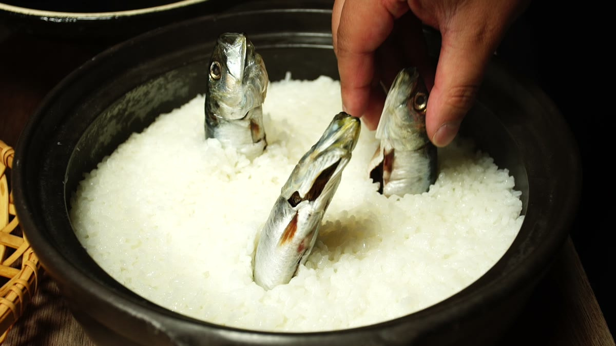 炊いた飯に穴をあけ、イワシを頭を上にして差し込んでいく手元