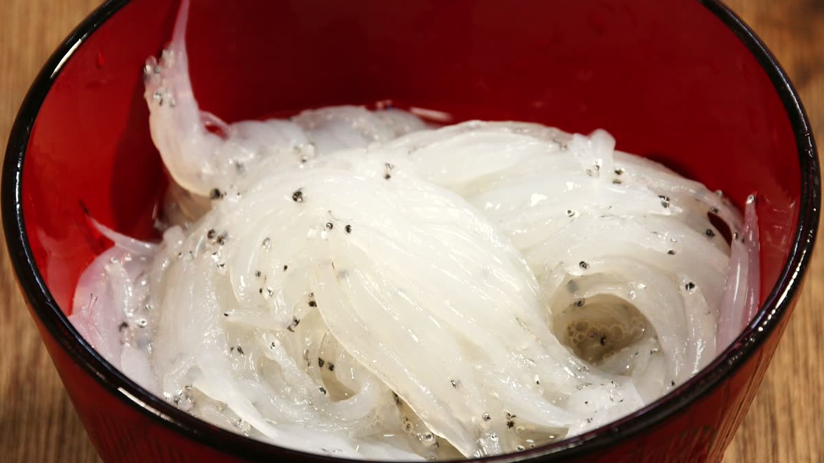 器に入った白魚